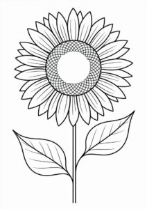 Big Petal Sunflower 1