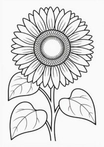 Big Petal Sunflower 4