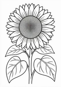 Big Petal Sunflower 5