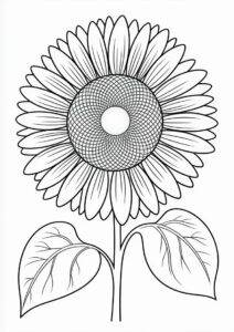 Big Petal Sunflower 7
