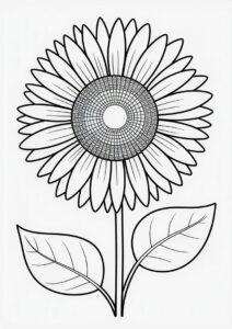 Big Petal Sunflower 8