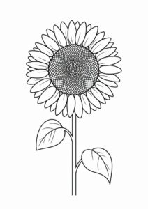 Big Sunflower Coloring Sheet 4