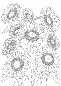 Bunch Of Detailed Sunflowers For Coloring 6