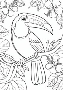 Detailed Adult Toucan Coloring Page 5