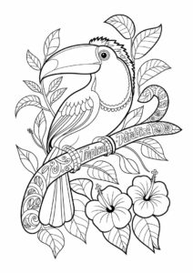 Detailed Adult Toucan Coloring Page 6