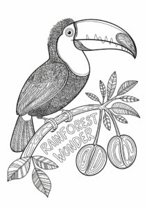 Detailed Adult Toucan Coloring Page 7