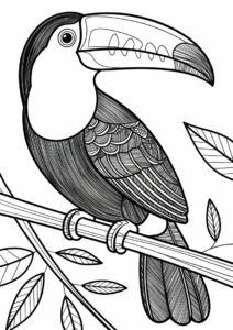 Detailed Adult Toucan Coloring Page 8
