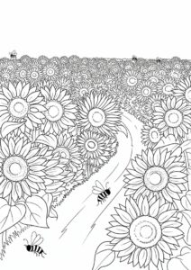 Field Of Sunflowers Coloring Page 13
