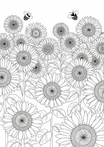 Field Of Sunflowers Coloring Page 5
