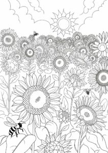 Field Of Sunflowers Coloring Page 8