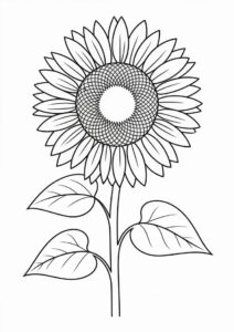 Outline Of Sunflower Coloring Sheet 2
