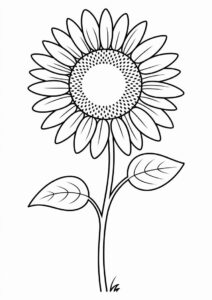 Outline Of Sunflower Coloring Sheet 8