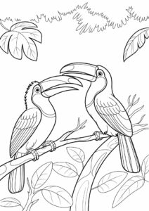 Outline Of Two Toucans Coloring Page For Kids 13