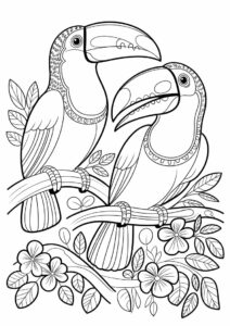 Outline Of Two Toucans Coloring Page For Kids 14
