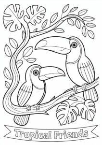 Outline Of Two Toucans Coloring Page For Kids 17