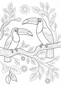 Outline Of Two Toucans Coloring Page For Kids 2
