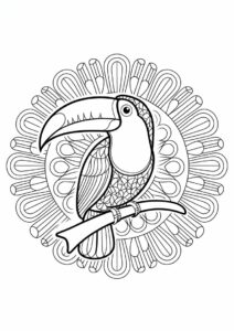 Simple Toucan Coloring Page Mandala 8