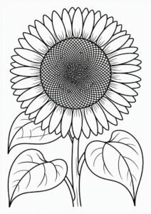 Sunflower With Big Petals For Coloring 1