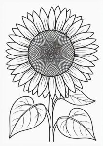 Sunflower With Big Petals For Coloring 2