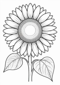 Sunflower With Big Petals For Coloring 5