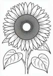 Sunflower With Big Petals For Coloring 7