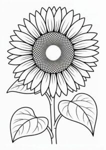 Sunflower With Big Petals For Coloring 8