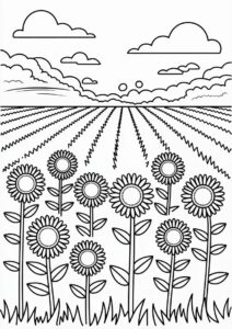 Sunflowers In Field To Color 6