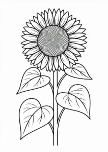 Tall Sunflower With Seeds Coloring In 3
