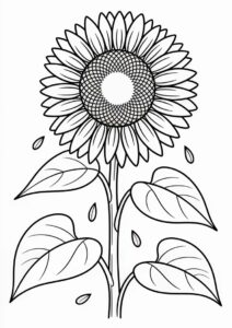 Tall Sunflower With Seeds Coloring In 8