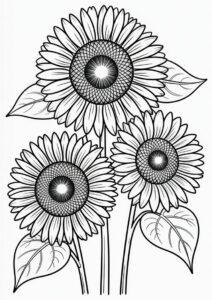 Three Big Beautiful Sunflowers 4