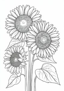Three Big Beautiful Sunflowers 9