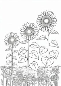 Three Sunflowers In Field Coloring 5