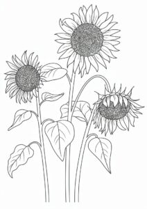 Three Wilting Sunflowers 1