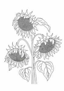 Three Wilting Sunflowers 2