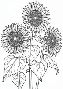 Three Wilting Sunflowers 5