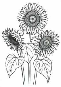 Three Wilting Sunflowers 6