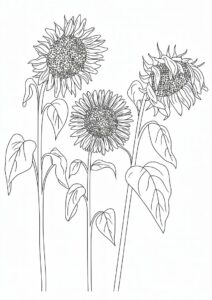 Three Wilting Sunflowers 8