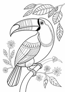 Toucan Coloring Page With Detailed Beak And Wings 11
