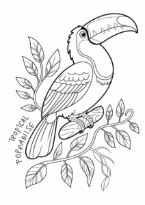 Toucan Coloring Page With Detailed Beak And Wings 6